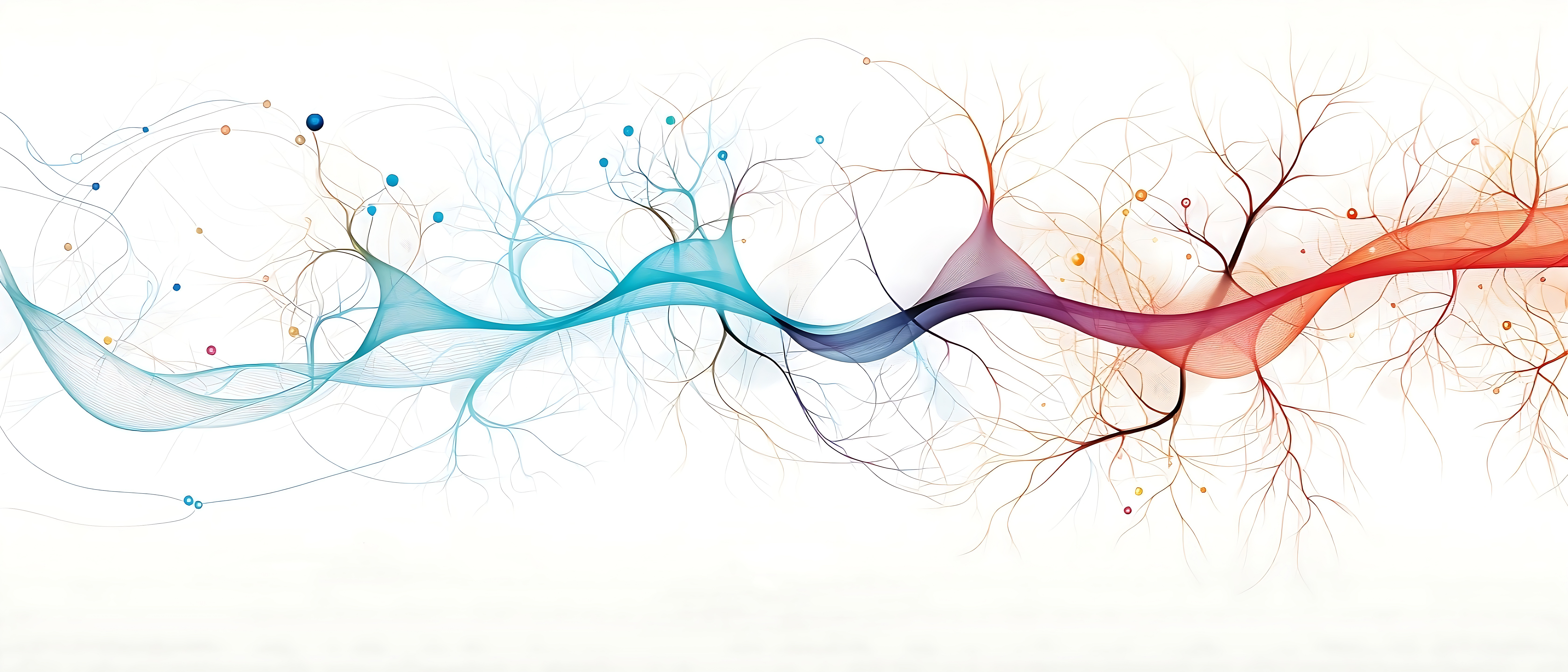 Clinical & Affective Neuroscience Lab